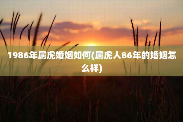1986年属虎婚姻如何(属虎人86年的婚姻怎么样)