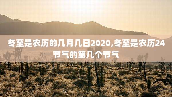 冬至是农历的几月几日2020,冬至是农历24节气的第几个节气