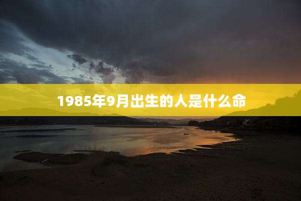 1985年9月出生的人是什么命