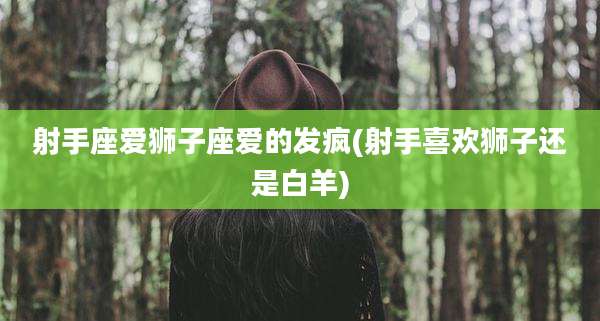 射手座爱狮子座爱的发疯(射手喜欢狮子还是白羊)