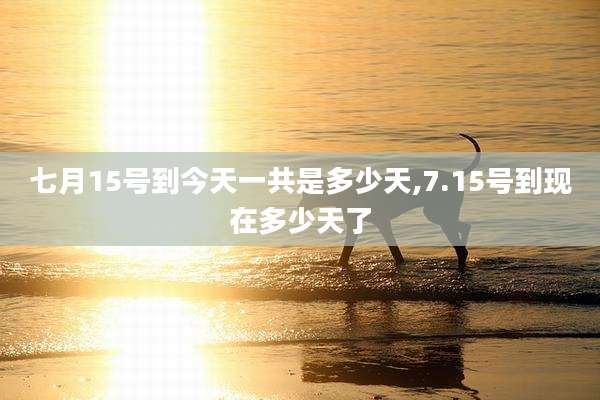 七月15号到今天一共是多少天,7.15号到现在多少天了