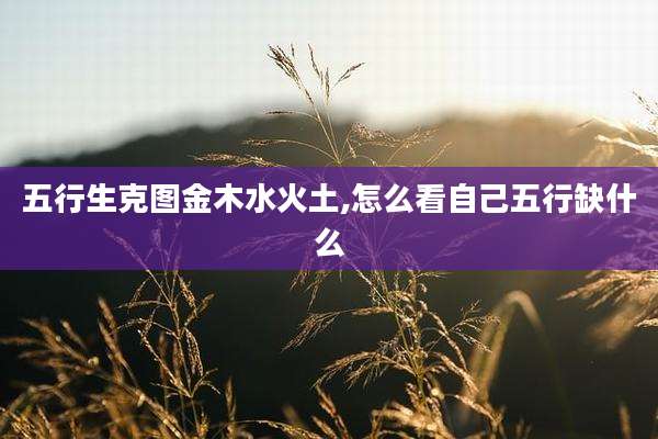 五行生克图金木水火土,怎么看自己五行缺什么