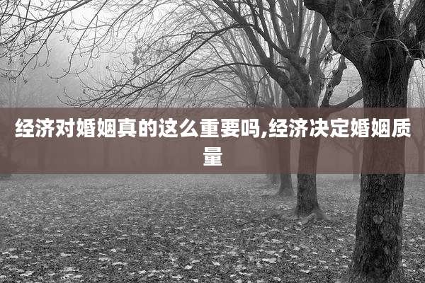 经济对婚姻真的这么重要吗,经济决定婚姻质量
