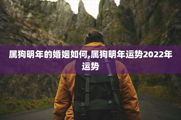 属狗明年的婚姻如何,属狗明年运势2022年运势