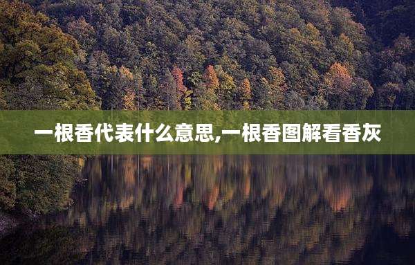 一根香代表什么意思,一根香图解看香灰
