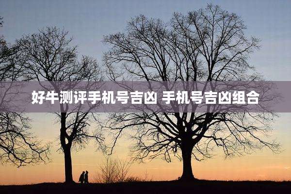 好牛测评手机号吉凶 手机号吉凶组合
