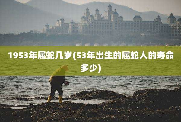 1953年属蛇几岁(53年出生的属蛇人的寿命多少)