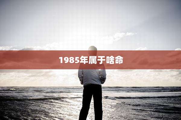 1985年属于啥命