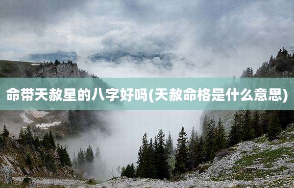 命带天赦星的八字好吗(天赦命格是什么意思)