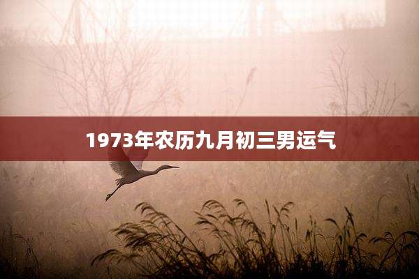 1973年农历九月初三男运气