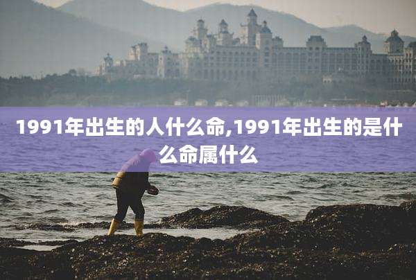 1991年出生的人什么命,1991年出生的是什么命属什么