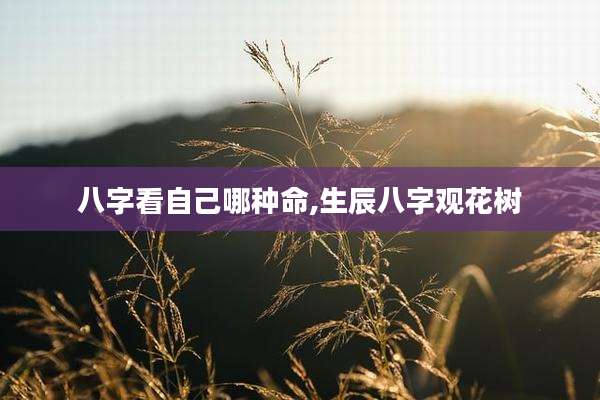 八字看自己哪种命,生辰八字观花树