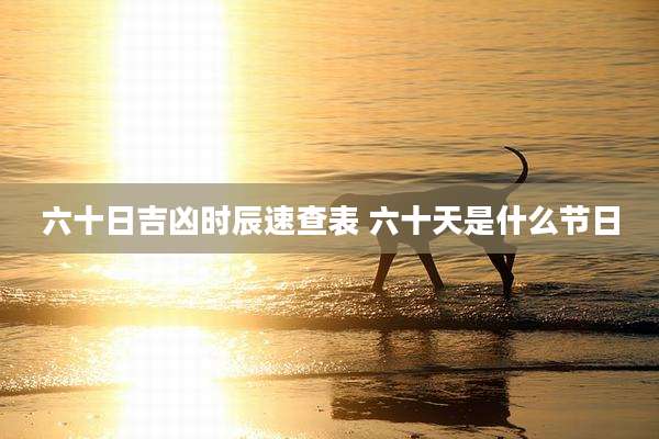 六十日吉凶时辰速查表 六十天是什么节日