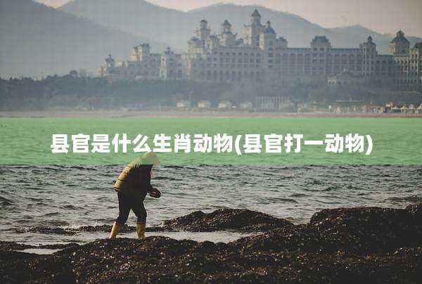 县官是什么生肖动物(县官打一动物)