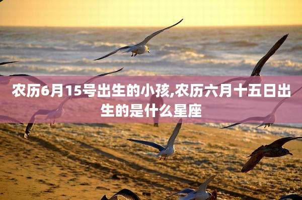 农历6月15号出生的小孩,农历六月十五日出生的是什么星座