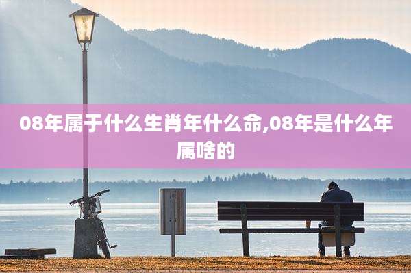 08年属于什么生肖年什么命,08年是什么年属啥的