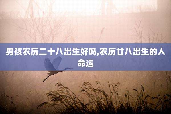 男孩农历二十八出生好吗,农历廿八出生的人命运