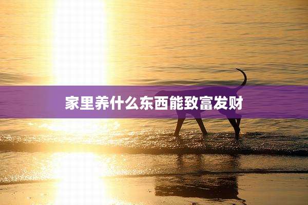 家里养什么东西能致富发财