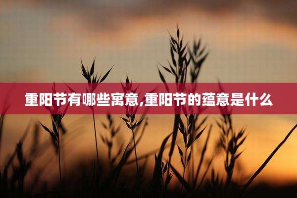 重阳节有哪些寓意,重阳节的蕴意是什么