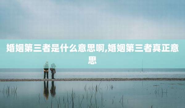 婚姻第三者是什么意思啊,婚姻第三者真正意思