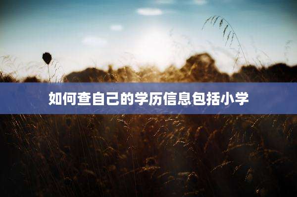 如何查自己的学历信息包括小学