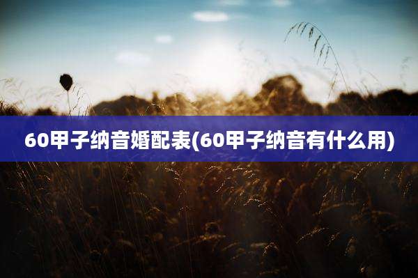 60甲子纳音婚配表(60甲子纳音有什么用)