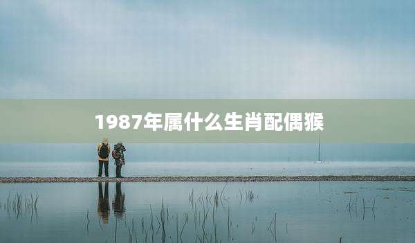 1987年属什么生肖配偶猴