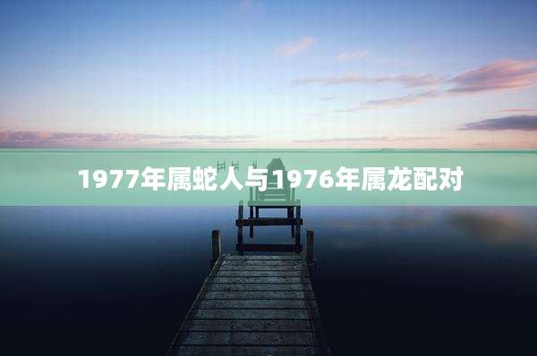 1977年属蛇人与1976年属龙配对