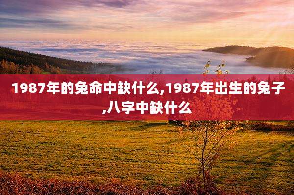 1987年的兔命中缺什么,1987年出生的兔子,八字中缺什么