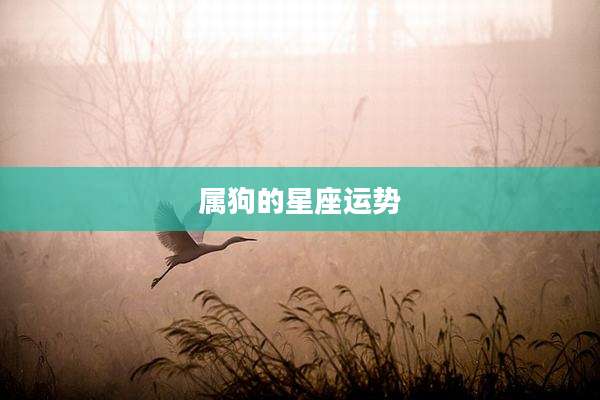 属狗的星座运势