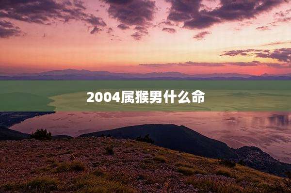 2004属猴男什么命