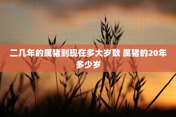 二几年的属猪到现在多大岁数 属猪的20年多少岁