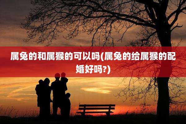 属兔的和属猴的可以吗(属兔的给属猴的配婚好吗?)