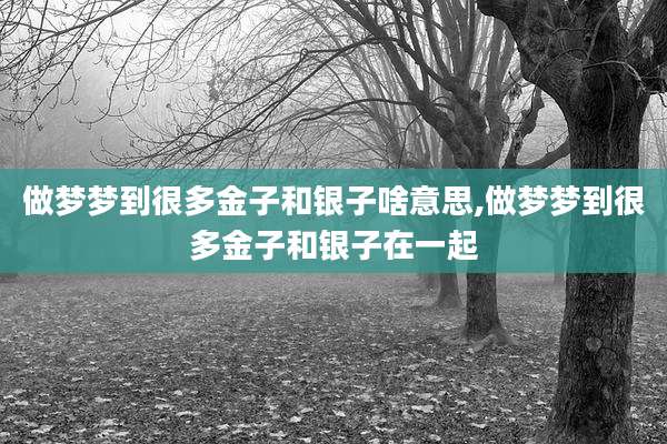 做梦梦到很多金子和银子啥意思,做梦梦到很多金子和银子在一起