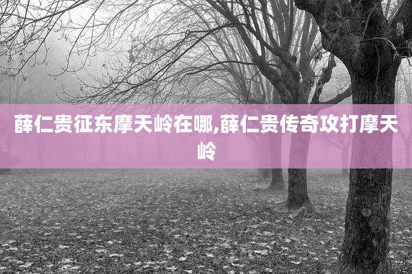 薛仁贵征东摩天岭在哪,薛仁贵传奇攻打摩天岭