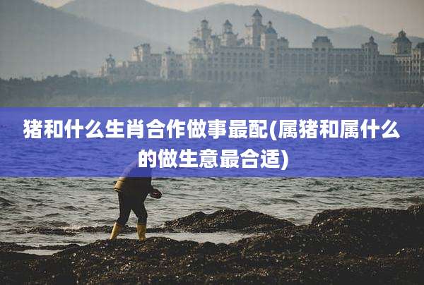 猪和什么生肖合作做事最配(属猪和属什么的做生意最合适)