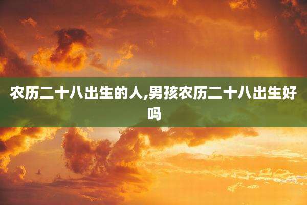 农历二十八出生的人,男孩农历二十八出生好吗