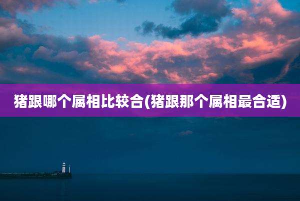 猪跟哪个属相比较合(猪跟那个属相最合适)