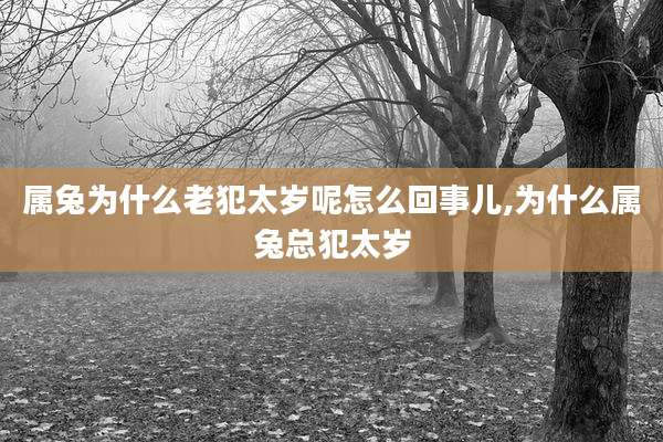 属兔为什么老犯太岁呢怎么回事儿,为什么属兔总犯太岁