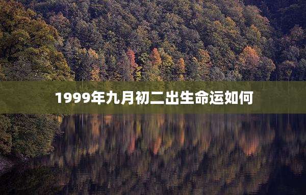 1999年九月初二出生命运如何