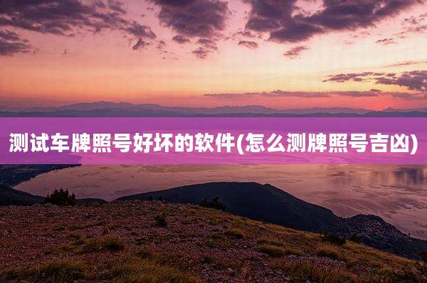 测试车牌照号好坏的软件(怎么测牌照号吉凶)