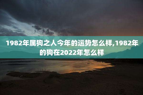 1982年属狗之人今年的运势怎么样,1982年的狗在2022年怎么样