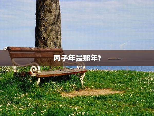 丙子年是那年?