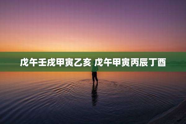 戊午壬戌甲寅乙亥 戊午甲寅丙辰丁酉