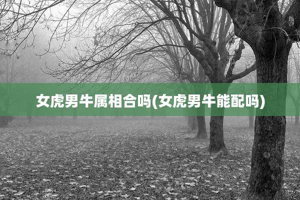 女虎男牛属相合吗(女虎男牛能配吗)