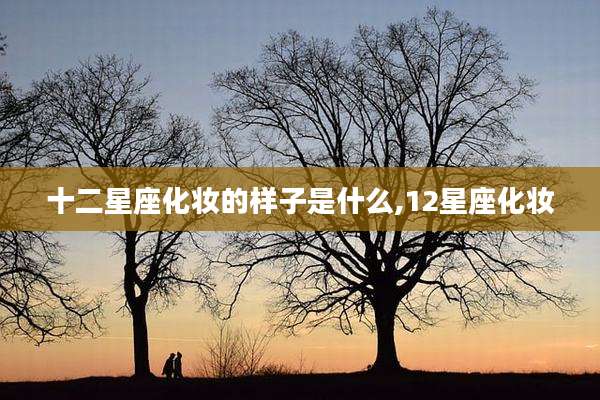 十二星座化妆的样子是什么,12星座化妆
