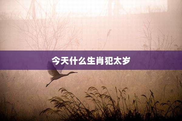 今天什么生肖犯太岁