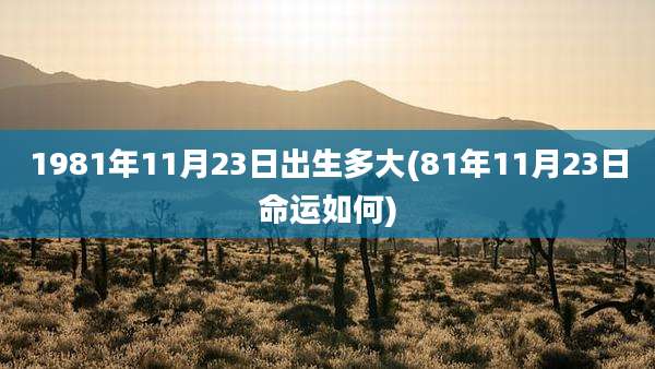 1981年11月23日出生多大(81年11月23日命运如何)
