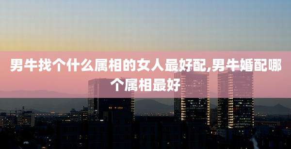 男牛找个什么属相的女人最好配,男牛婚配哪个属相最好