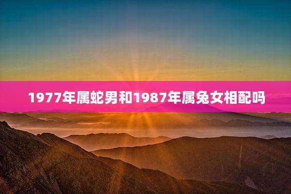 1977年属蛇男和1987年属兔女相配吗